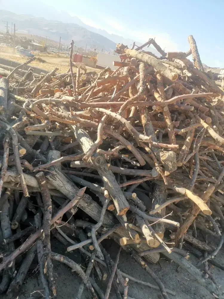 چوب سیب|خدمات باغبانی و درختکاری|اصفهان, باغ زرشک|دیوار