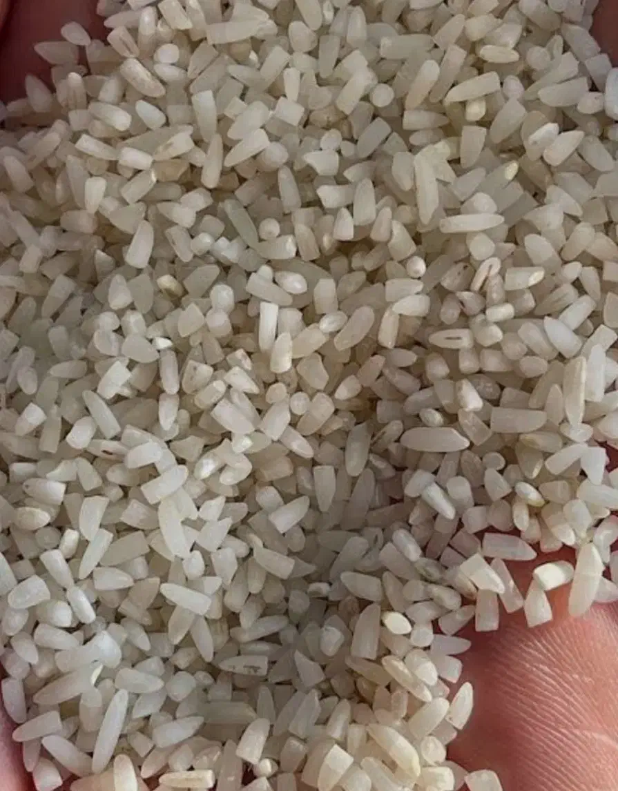 برنج نیم دانه|خوردنی و آشامیدنی|بندر کنگان, |دیوار