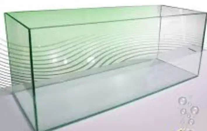 آکواریوم سالم معاوضه با خروس|ماهی|دالاهو, |دیوار