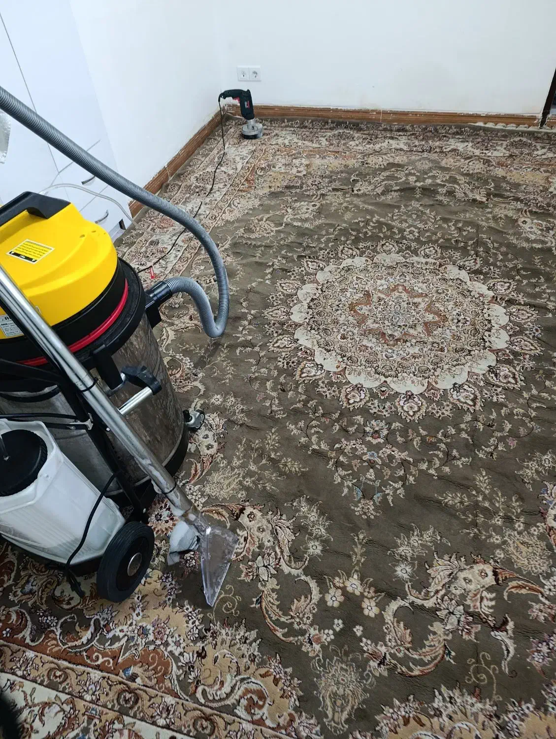 مبل و قالی شویی در منزل شما|خدمات نظافت|بندرعباس, |دیوار