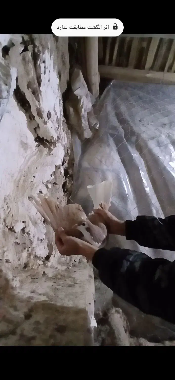 سلام|خزنده|نیشابور, باغرود|دیوار