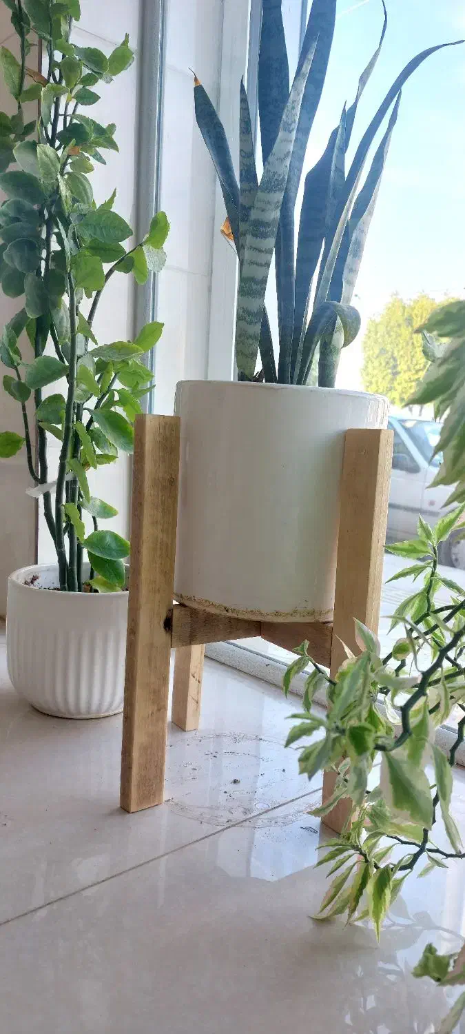 استند گل|کتابخانه، شلف، قفسه‌های دیواری|جیرفت, |دیوار