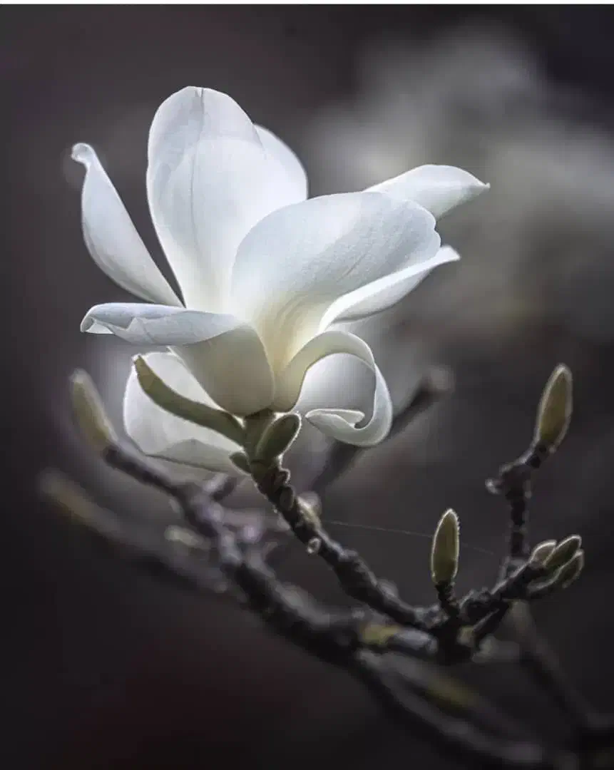 سیم‌کارت|سیم‌کارت|نوشهر, |دیوار