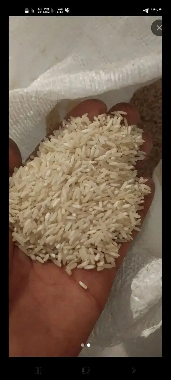 برنج ضیغمی|خوردنی و آشامیدنی|رومشکان, |دیوار