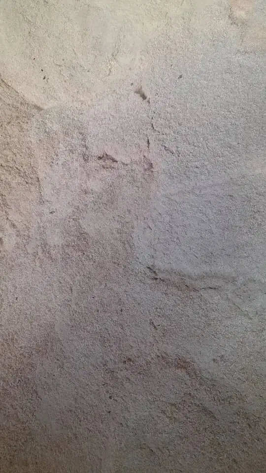 خرید وفروش پوشال چوب وخاک اره وگردو تمیز گونی شده|خدمات باغبانی و درختکاری|همدان, |دیوار