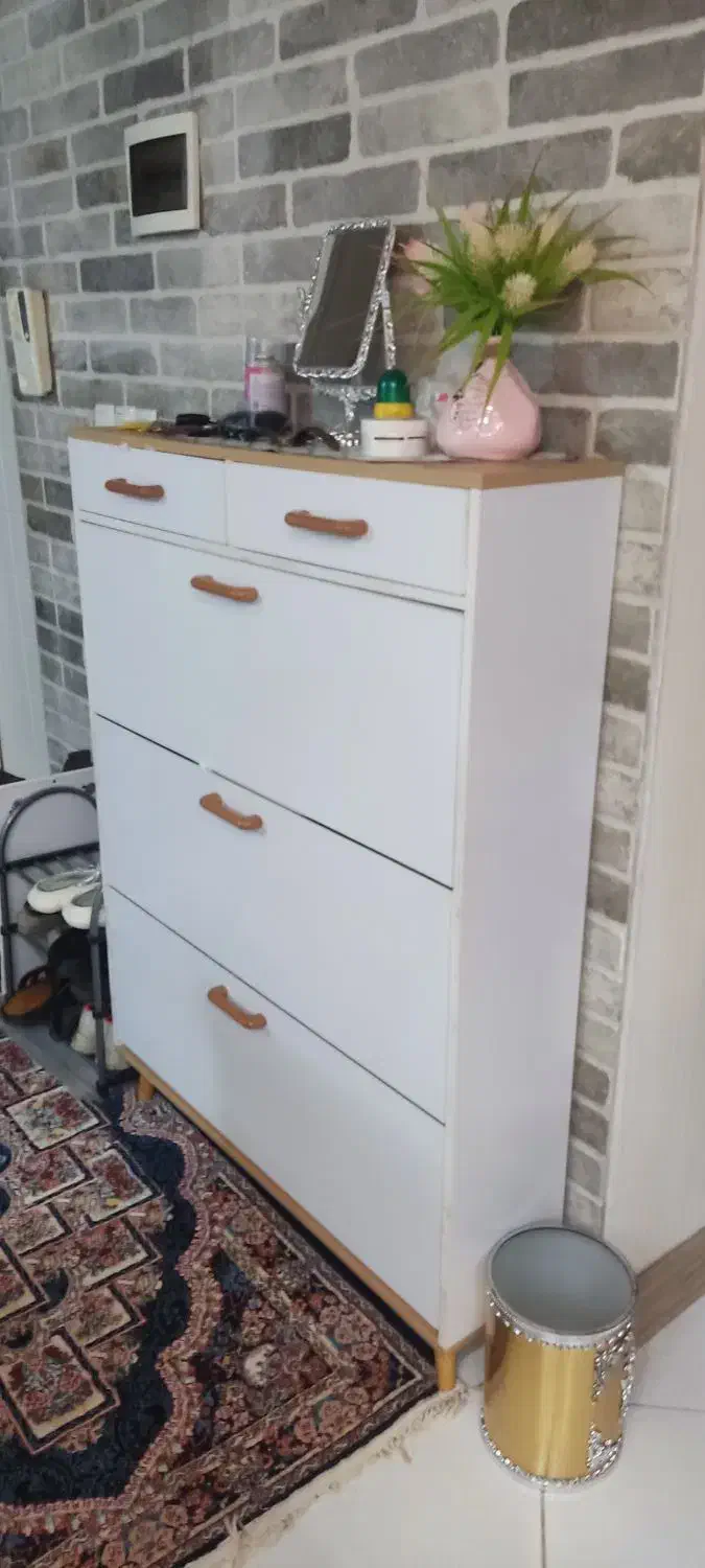 جا کفشی داشبوردی|جاکفشی، کمد، دراور|بندرعباس, |دیوار