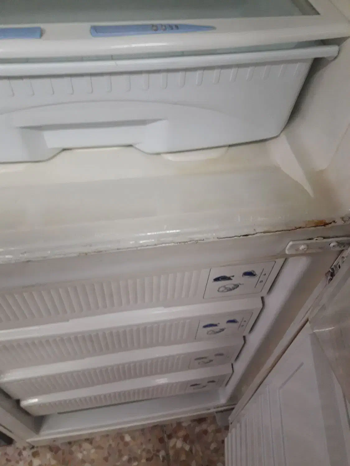 یخچال فریزر|یخچال و فریزر|زیباکنار, |دیوار