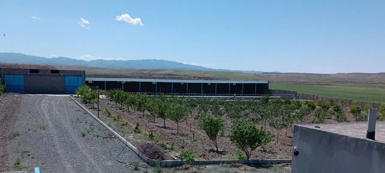 دامداری|فروش دفتر صنعتی، کشاورزی، تجاری|فریمان, |دیوار