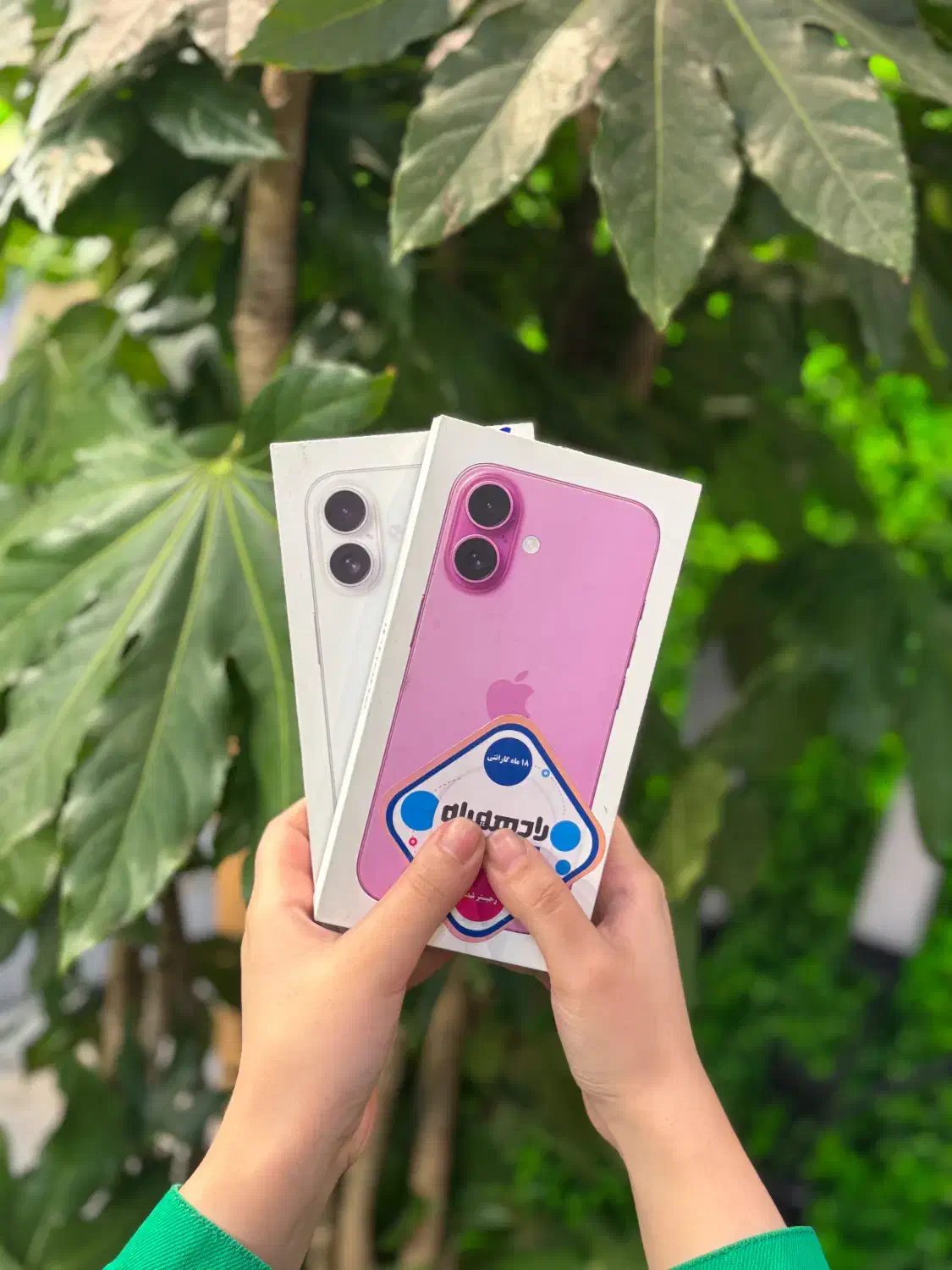 Iphone 16 normal|موبایل|تهران, شهرک پردیسان|دیوار