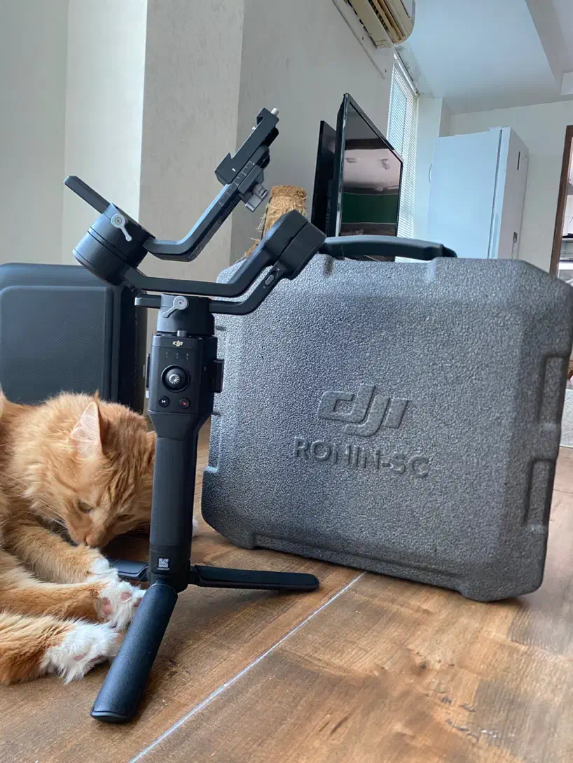 گیمبال دوربین (رونین sc)  dji ronin sc combo|دوربین عکاسی و فیلم‌برداری|کیش, |دیوار