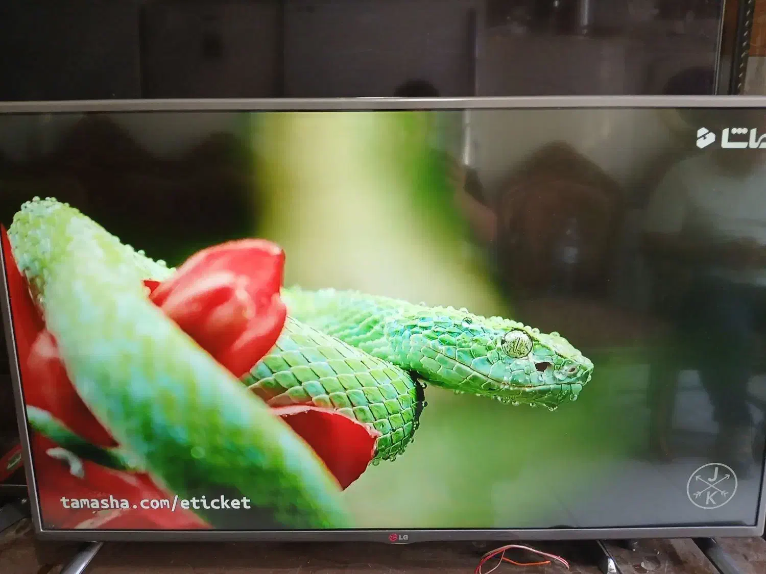 تلویزیون ۴۳ ال جی ال ای دی|تلویزیون و پروژکتور|قزوین, |دیوار