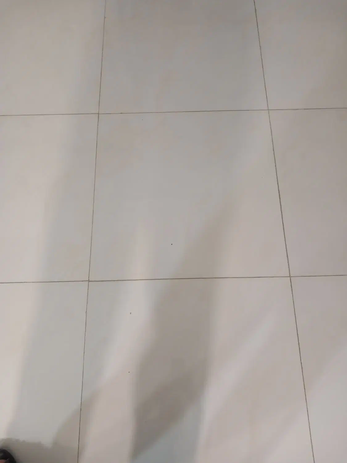 گمشده|تشک تختخواب|شهرکرد, |دیوار