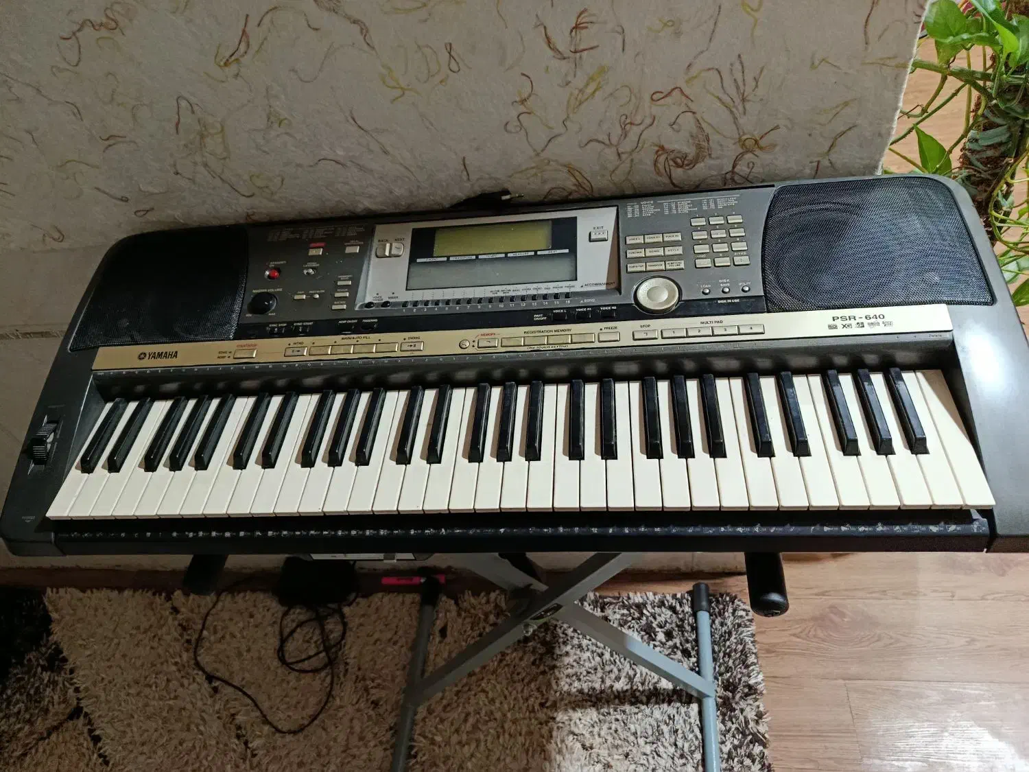 ارگ 740|پیانو، کیبورد، آکاردئون|بافق, |دیوار