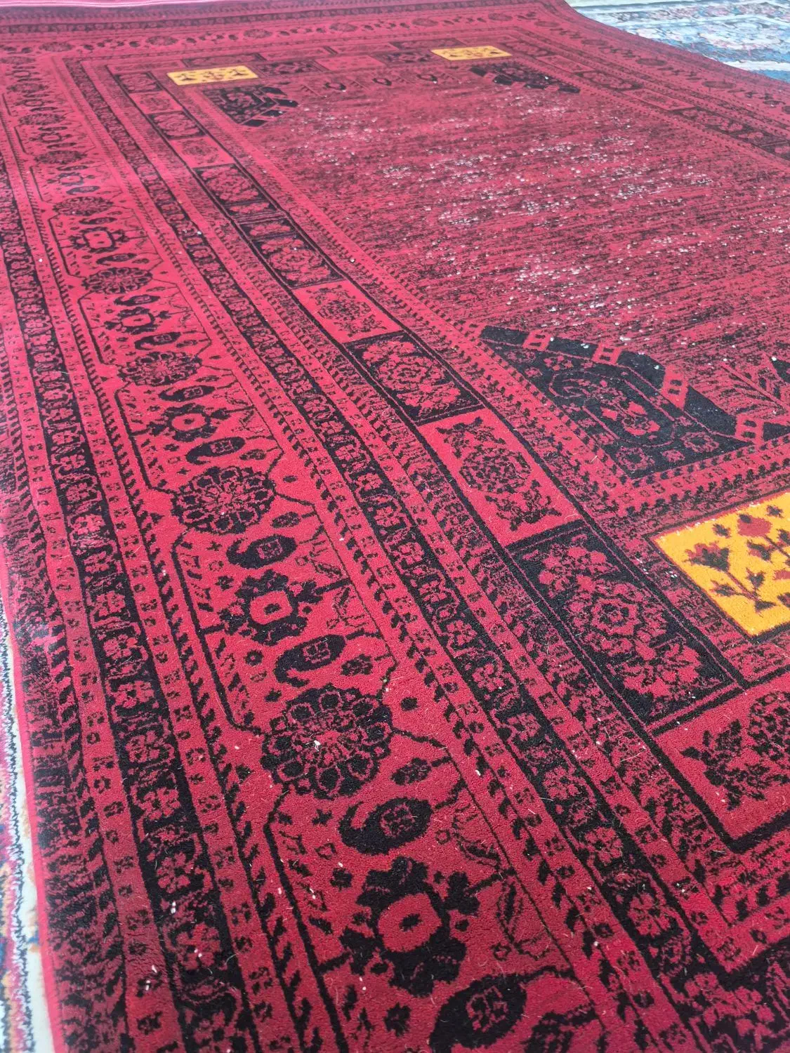 فرش پتینه لاکی *|فرش|شیراز, کوشک میدان|دیوار