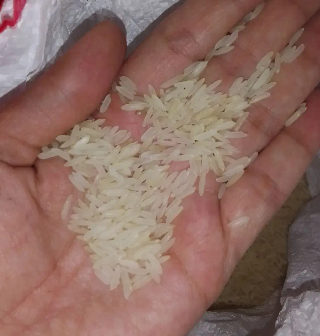 حدودا۸کیلو برنج هندی جی تی سی۱۱۲۱|خوردنی و آشامیدنی|مشهد, ایوان|دیوار