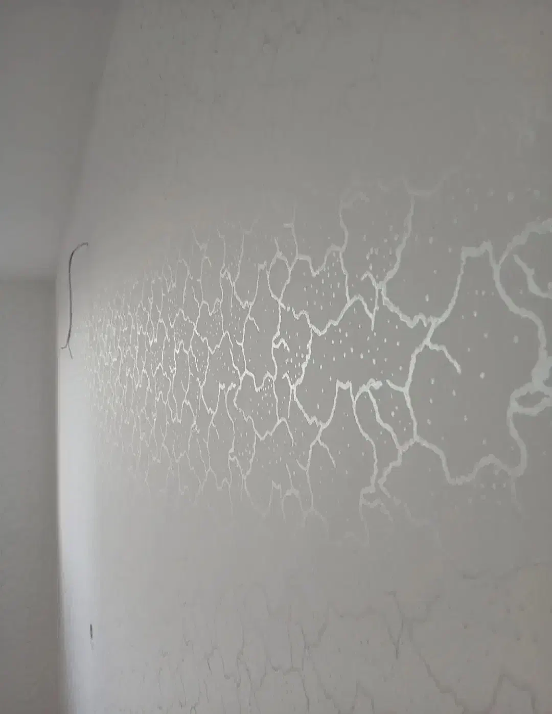 نقاشی ساختمان و (طرح کاغذ دیواری) کناف و کابینت|خدمات پیشه و مهارت|کرمانشاه, |دیوار