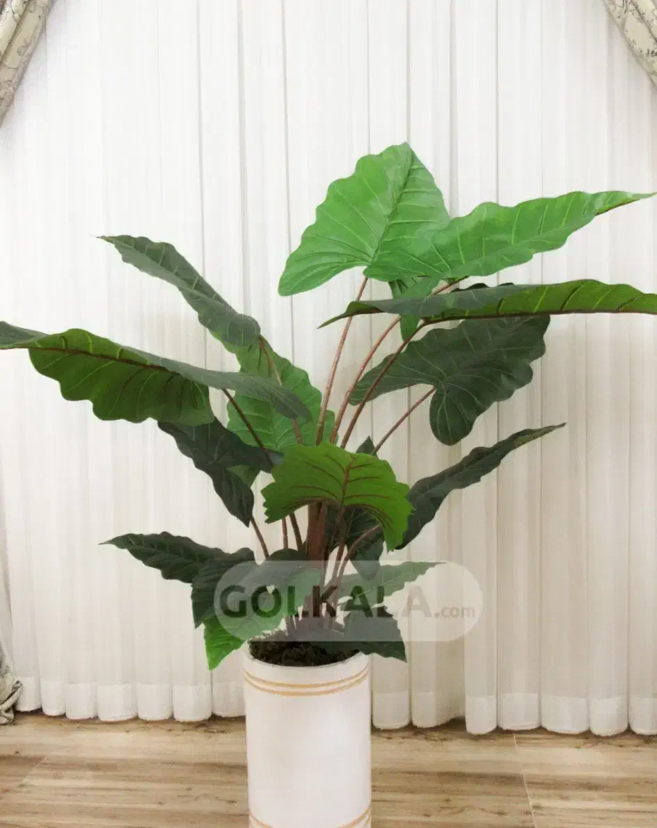 درختچه مصنوعی بابا آدم|گل مصنوعی|دزفول, |دیوار