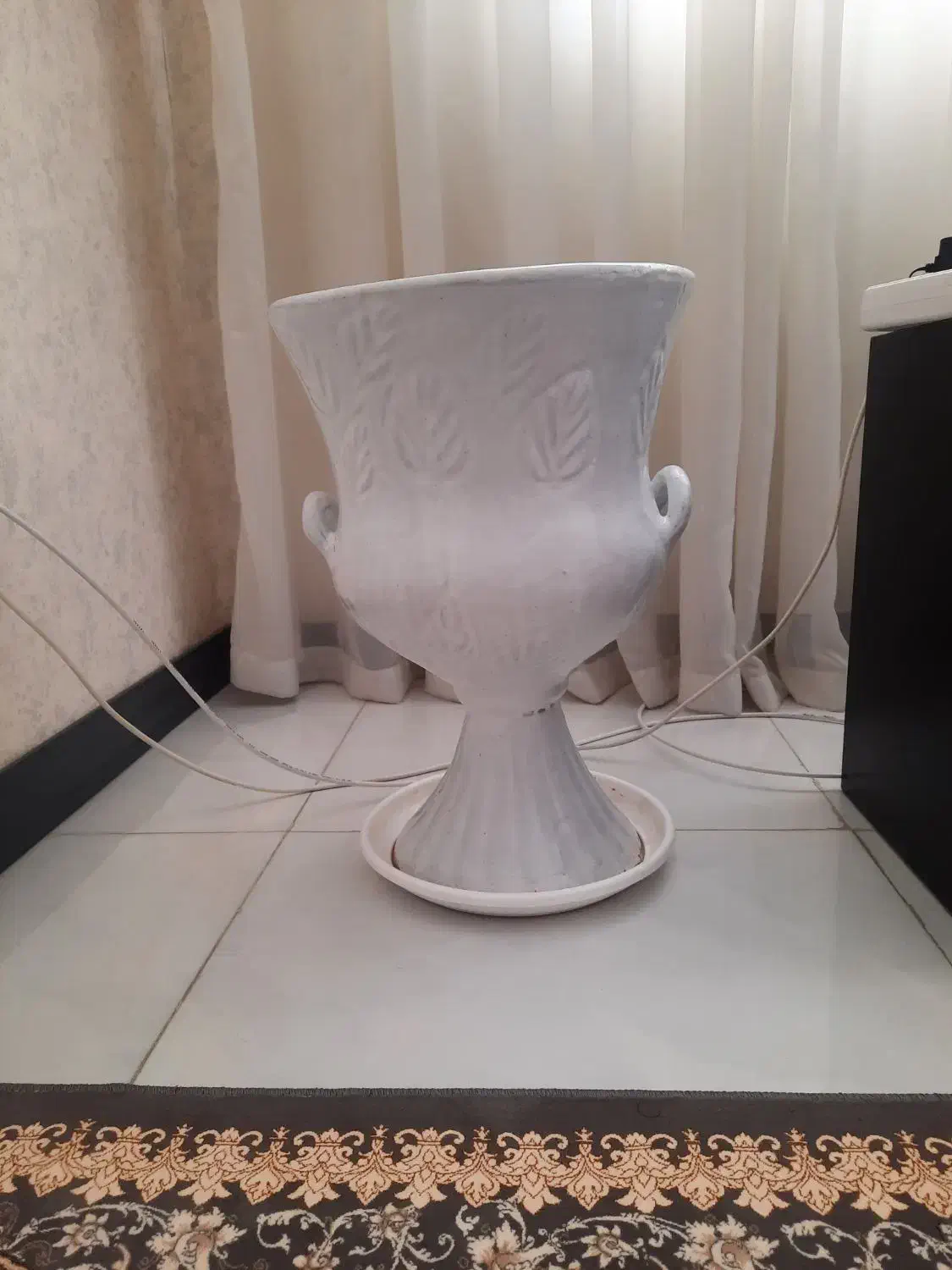 گلدون سرامیکی|گل و گیاه طبیعی|شیراز, میانرود|دیوار