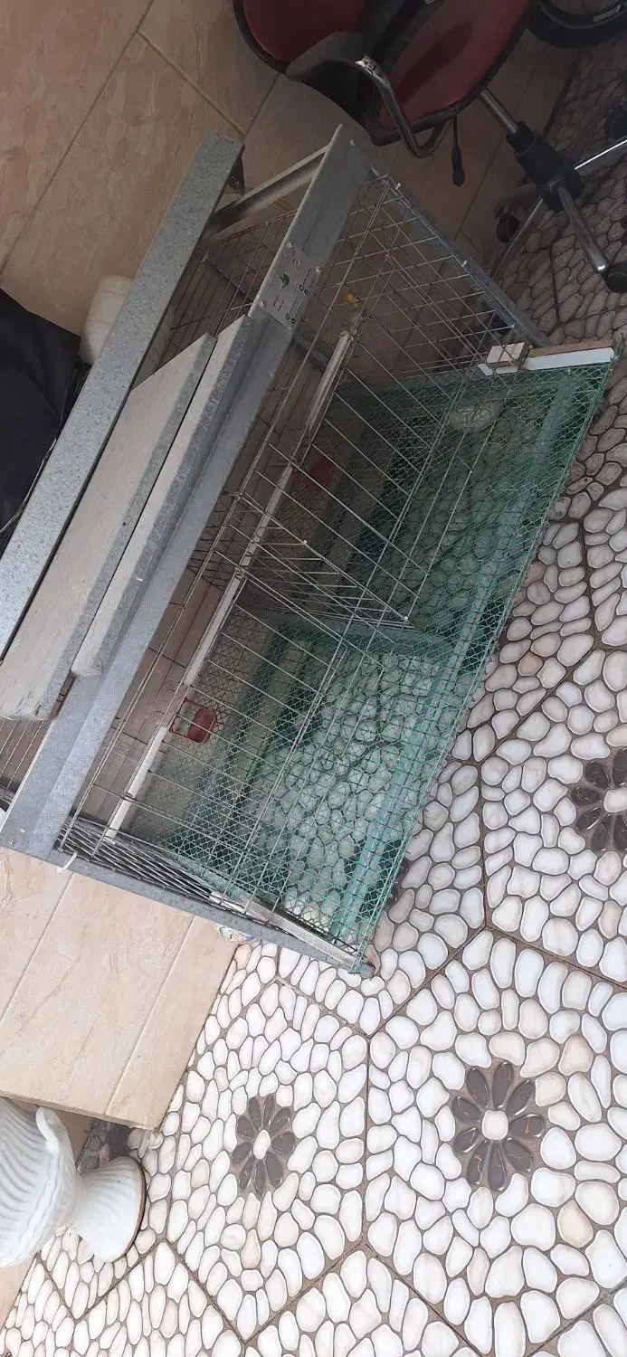 قفس گالوانیزه مرغ و پرنده تزئینی|لوازم جانبی حیوانات|قائمشهر, |دیوار