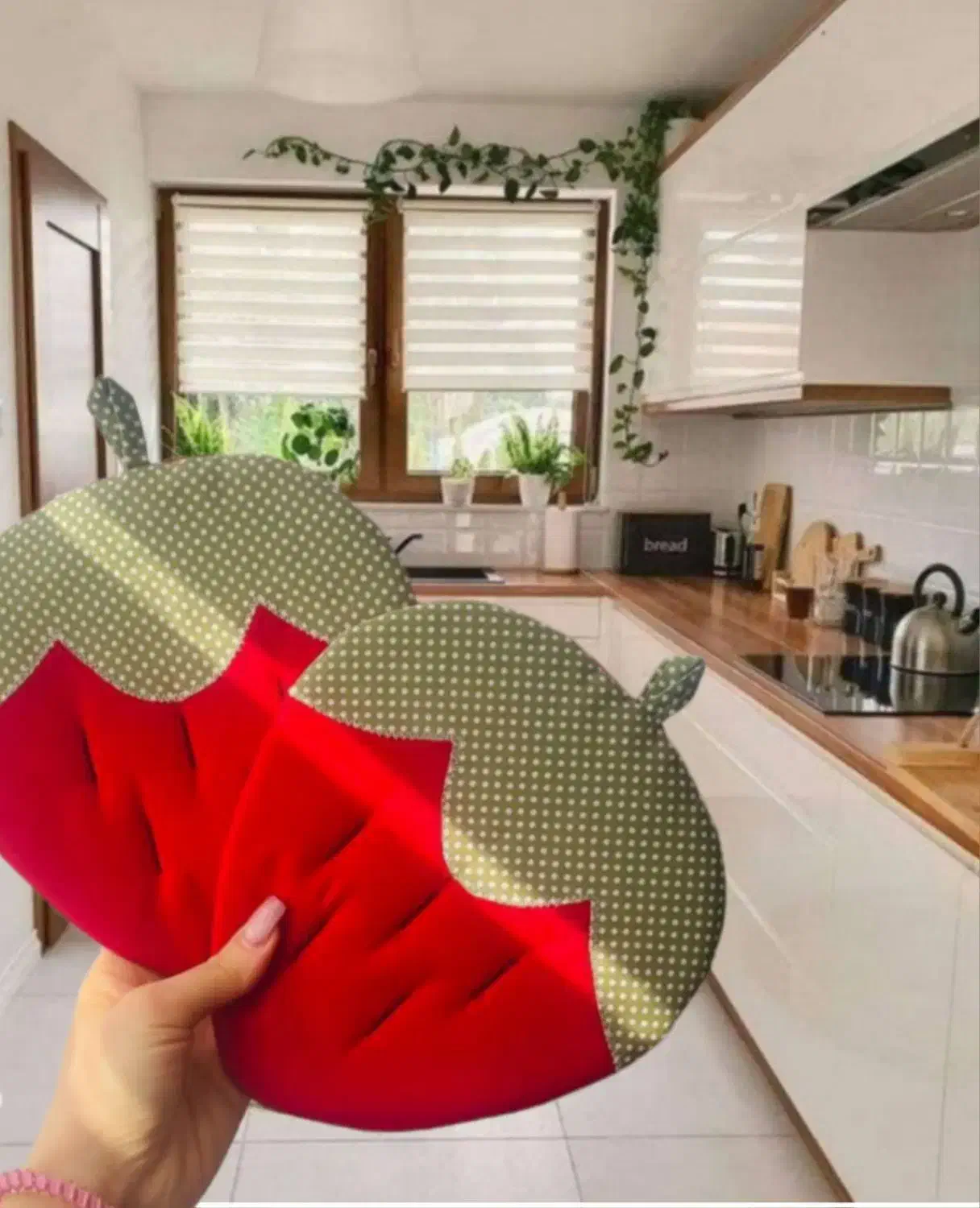 دستگیره آشپزخانه|سفره، حوله، دستمال آشپزخانه|گلبهار, شهر جدید گلبهار|دیوار