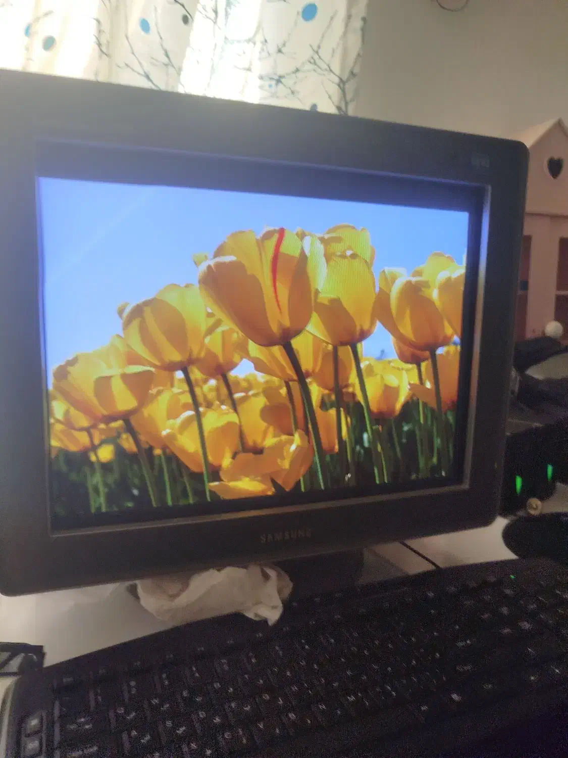 مانیتور 14اینچ|رایانه رومیزی|رشت, کوی مهر|دیوار