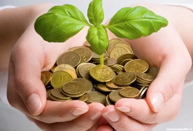 نیاز به وام|فعالیت داوطلبانه تحقیقاتی|تهران, فلسطین (میدان انقلاب)|دیوار