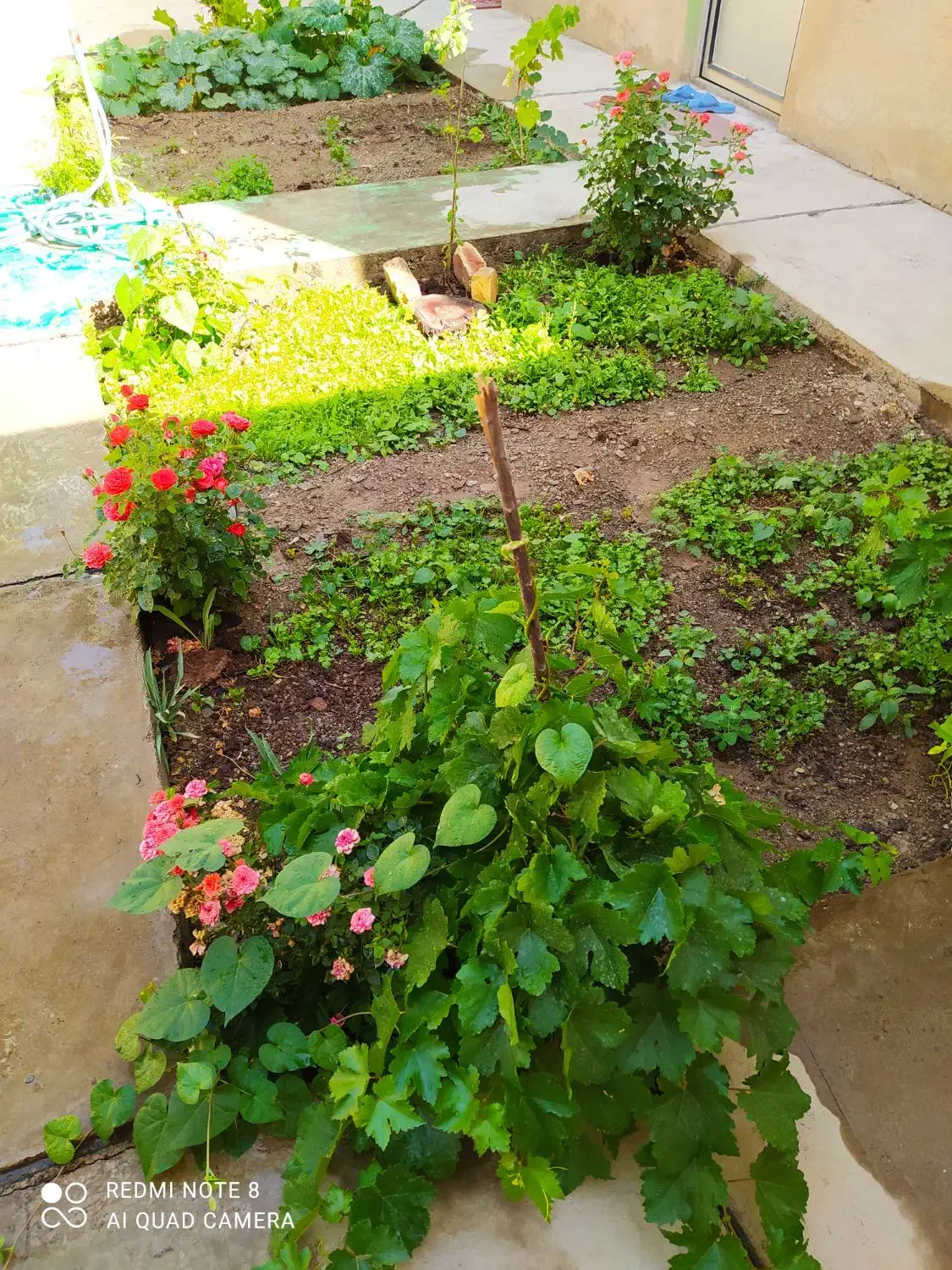 اجاره سوئیت با پارکینگ و حیاط|اجارهٔ کوتاهمدت آپارتمان و سوئیت|خوانسار, |دیوار