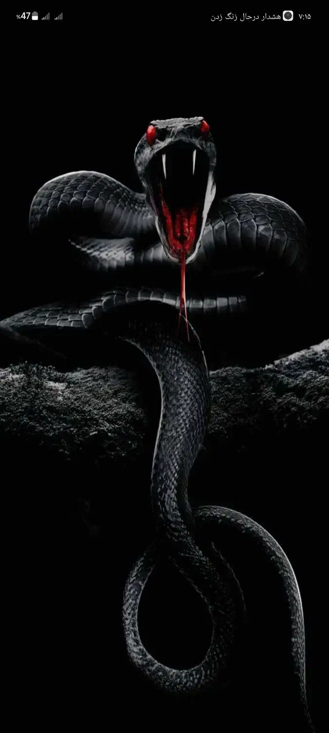 گوشی pocox6pro|موبایل|مشهد, حضرت حجت|دیوار