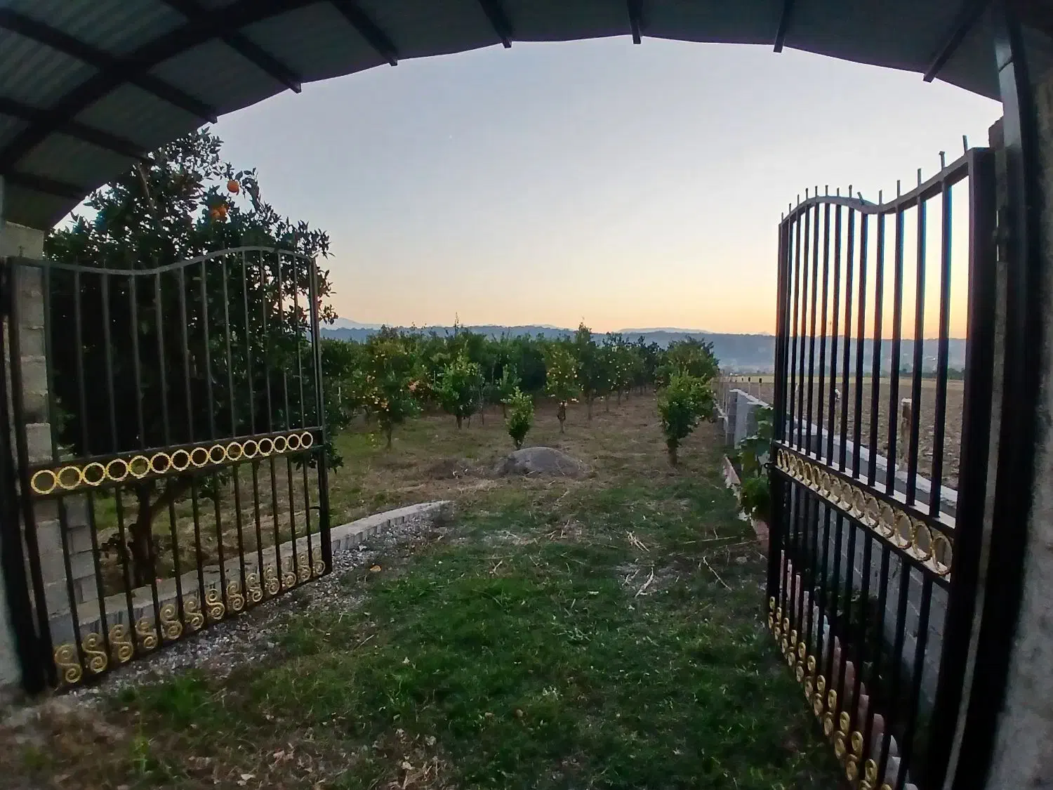 باغ پرتقال|فروش زمین و ملک کلنگی|باقرشهر, |دیوار