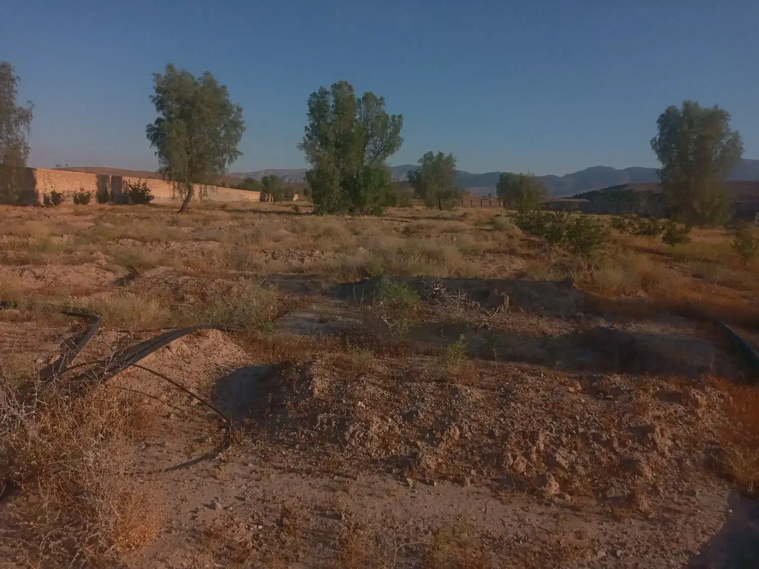 زمین باغی|فروش دفتر صنعتی، کشاورزی، تجاری|فسا, |دیوار