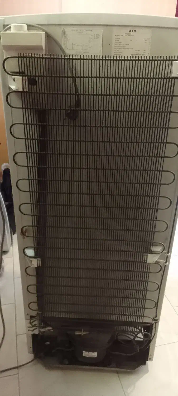 فریزر|یخچال و فریزر|بجنورد, |دیوار