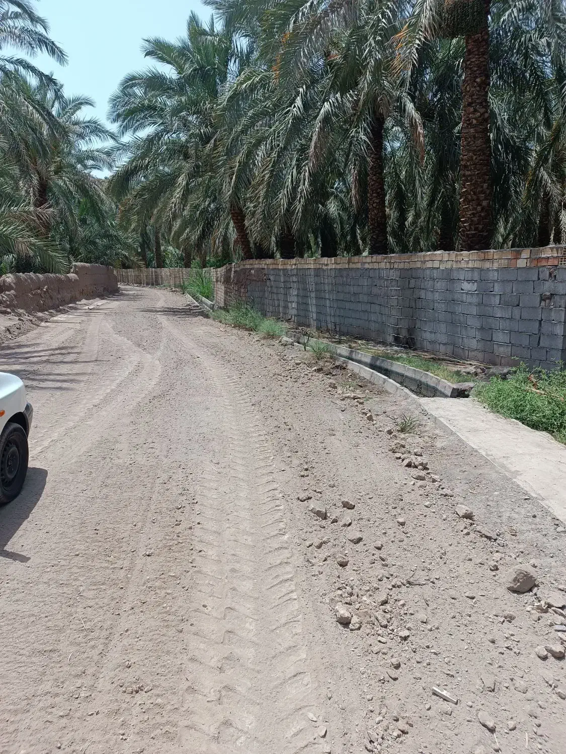 باغ خرما|فروش دفتر صنعتی، کشاورزی، تجاری|بم, |دیوار