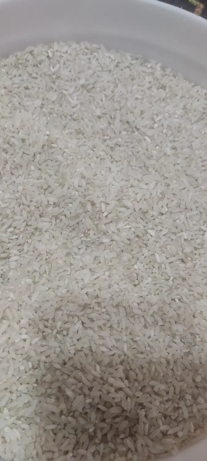 برنج چمپا فلارد|خوردنی و آشامیدنی|فلارد, |دیوار