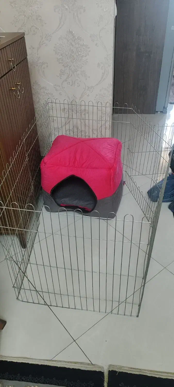 لوازم پت|لوازم جانبی حیوانات|تهران, اسفندیاری|دیوار