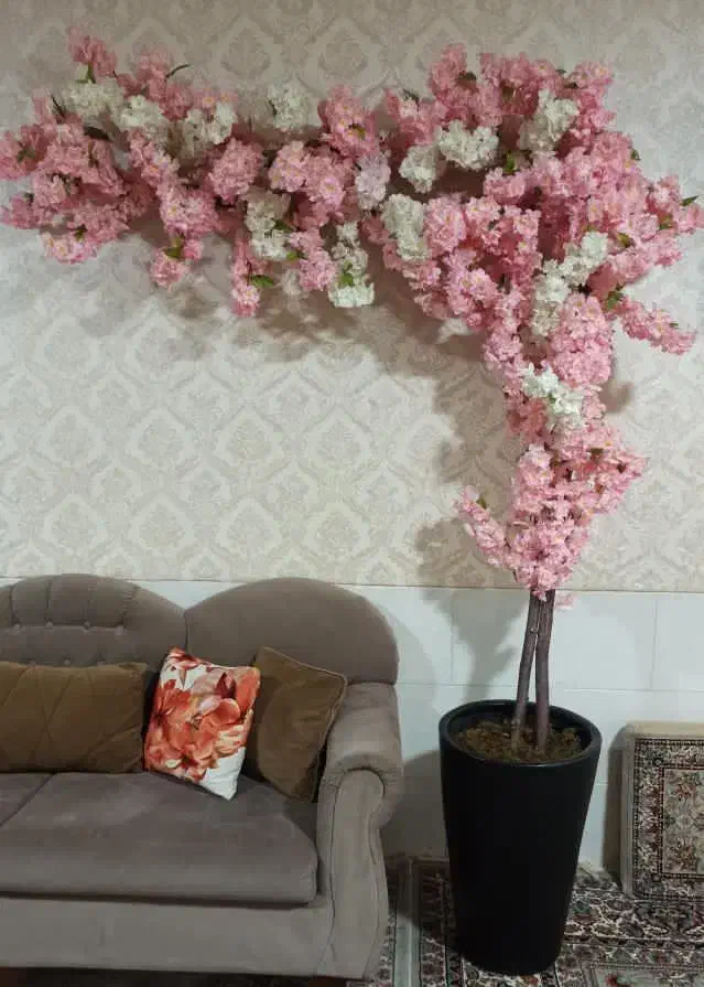 درختچه مصنوعی|گل مصنوعی|ابهر, |دیوار