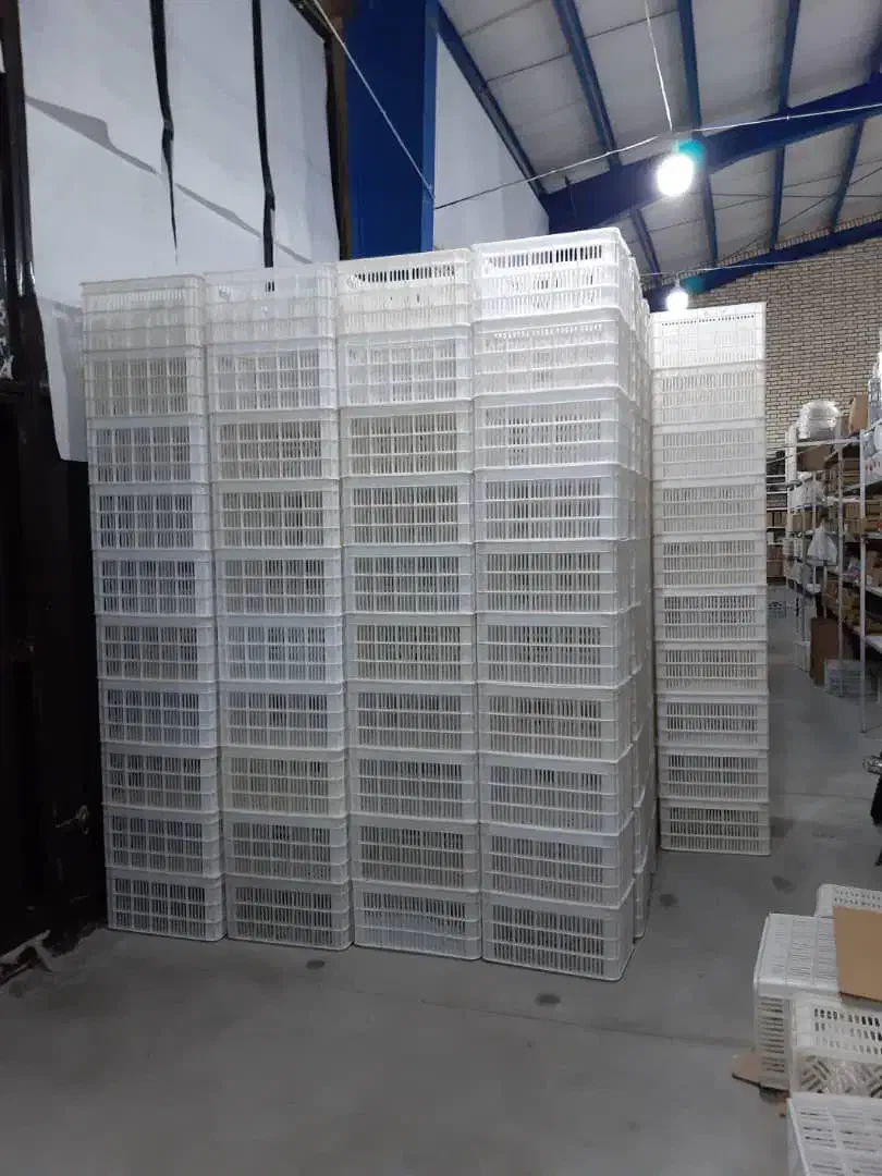 سبد میوه|ظروف نگهدارنده، پلاستیکی، یک‌بارمصرف|مشهد, سیلو|دیوار