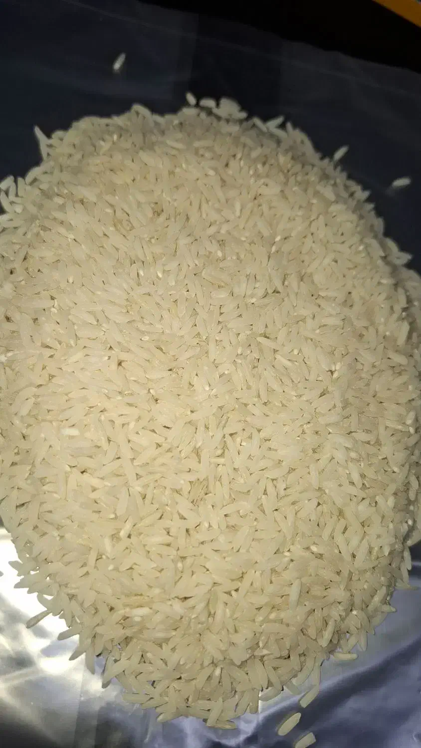 فریدونکنار با عطر و طعم زیاد|خوردنی و آشامیدنی|پردیس, فاز ۱|دیوار