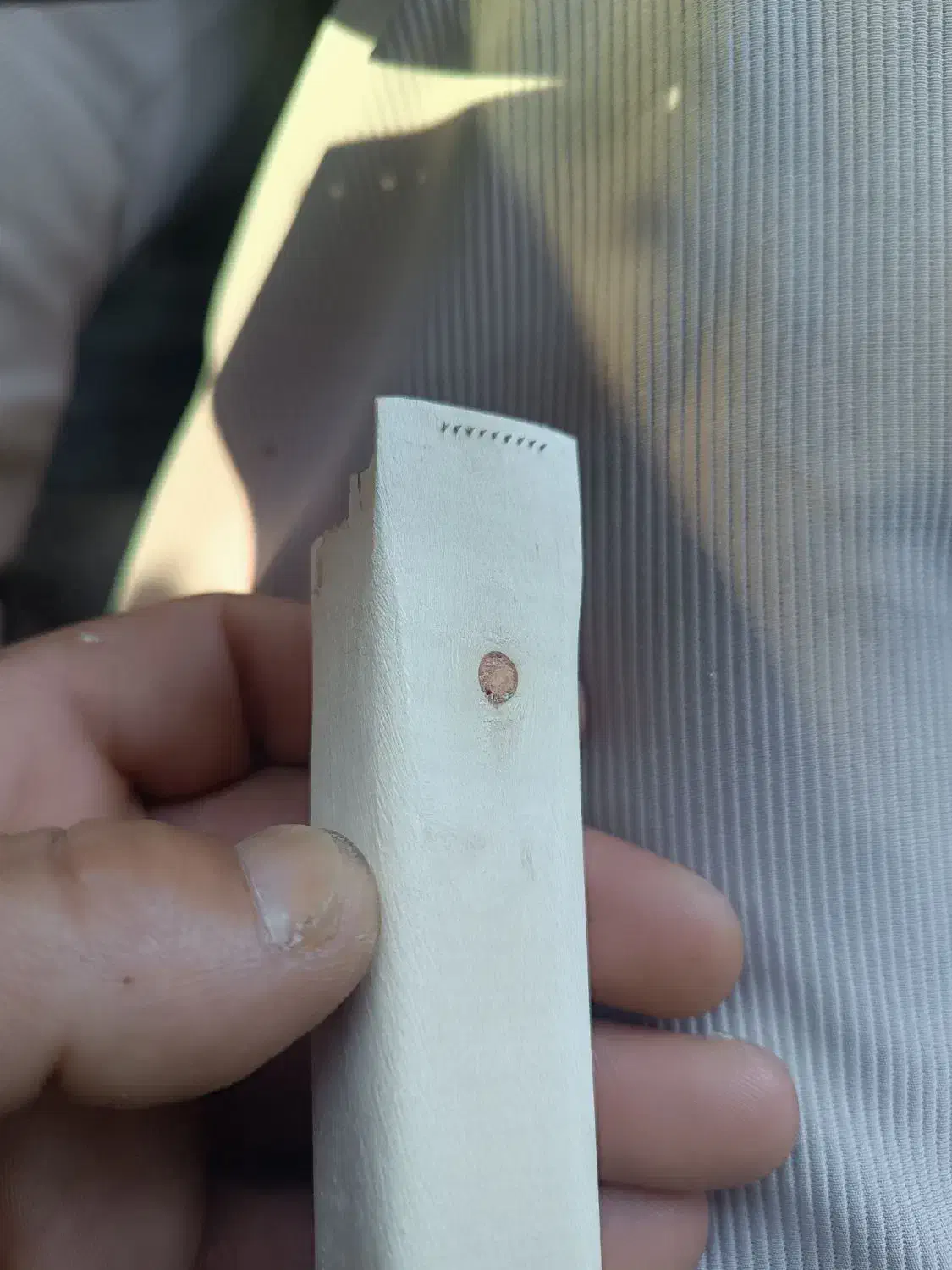 تیغ|کلکسیون اشیاء عتیقه|یاسوج, |دیوار