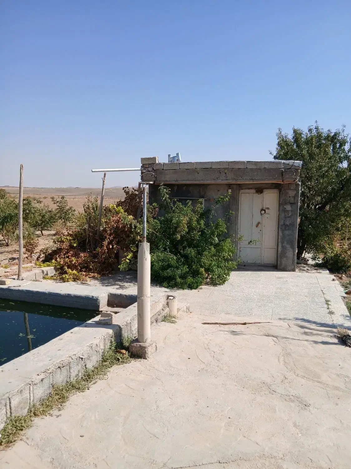 باغ گیلاس وبادام|فروش دفتر صنعتی، کشاورزی، تجاری|سامان, |دیوار