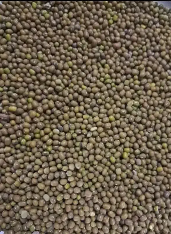 ماش|خوردنی و آشامیدنی|دره شهر, |دیوار