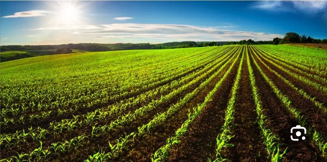 زمین زراعی ۱۵۰۰|فروش دفتر صنعتی، کشاورزی، تجاری|تهران, خزانه|دیوار