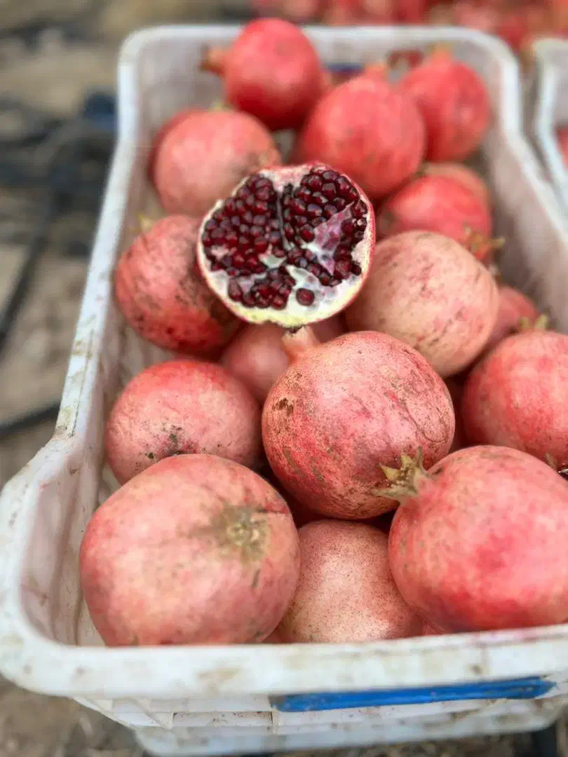 انار یاقوتی|عمده‌فروشی|ملایر, |دیوار