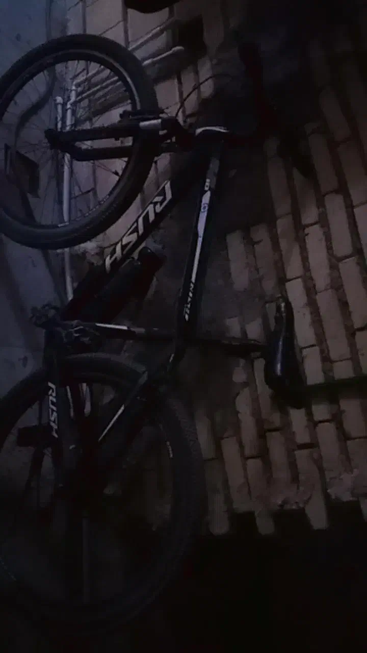 یک عدد دوچرخه ویوا|دوچرخه، اسکیت، اسکوتر|کارون, |دیوار