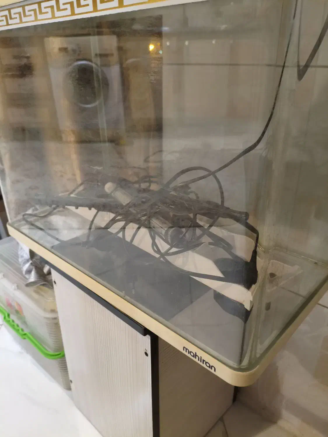 آکواریوم شرکتی ماهیران اصلی|ماهی|تهران, جنت‌آباد جنوبی|دیوار