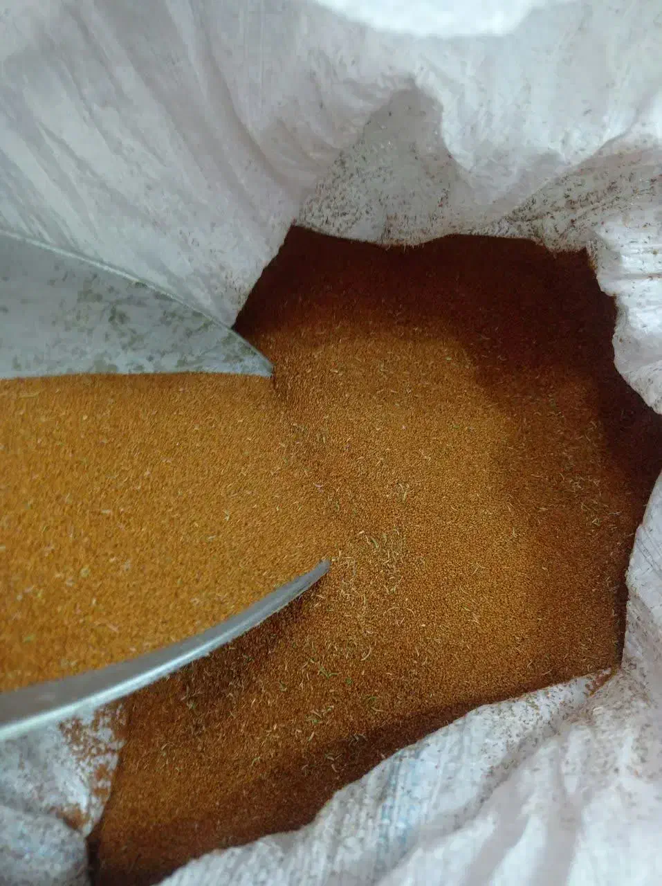 خاکشیر دیمی شیراز|خوردنی و آشامیدنی|قم, سراجه (۱۵ خرداد)|دیوار