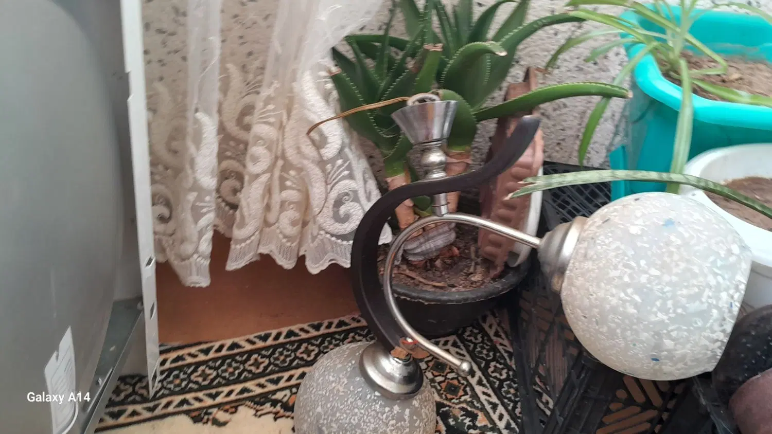 لوسترچوبی|لوستر و چراغ آویز|اردبیل, |دیوار