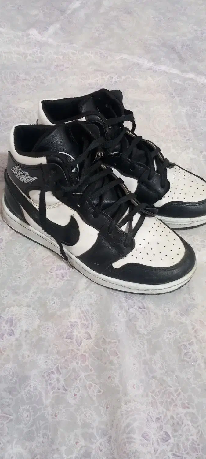 کفش|کیف، کفش، کمربند|علی‌آباد کتول, |دیوار