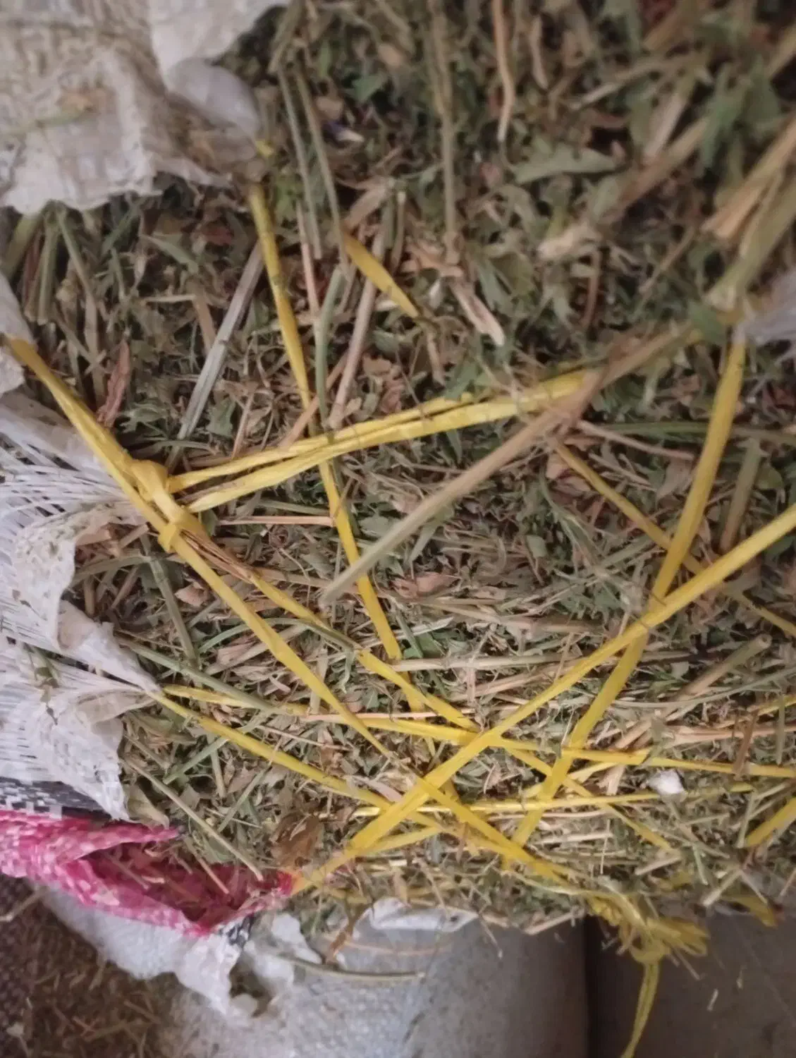 یونجه خرمنکوبی|لوازم جانبی حیوانات|نهاوند, |دیوار