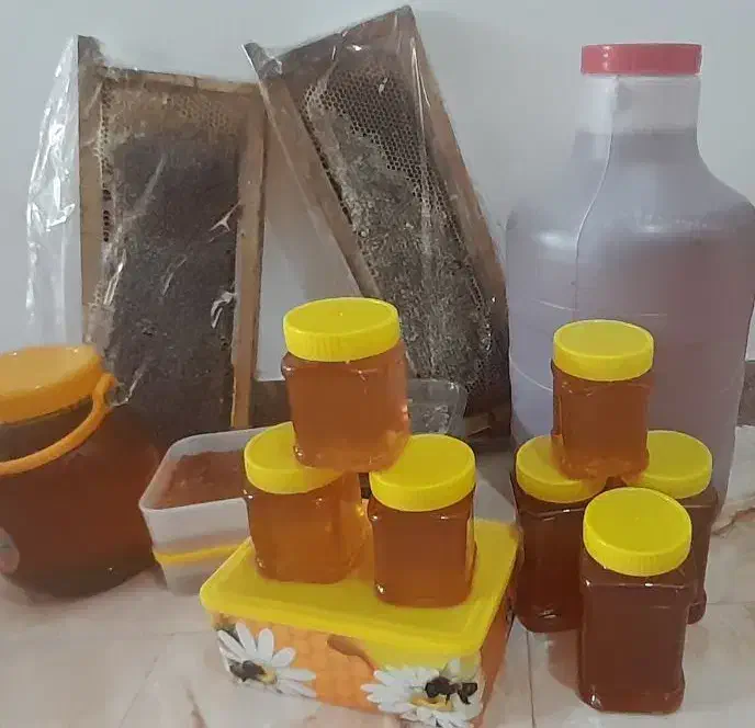 عسل|خوردنی و آشامیدنی|خلخال, |دیوار