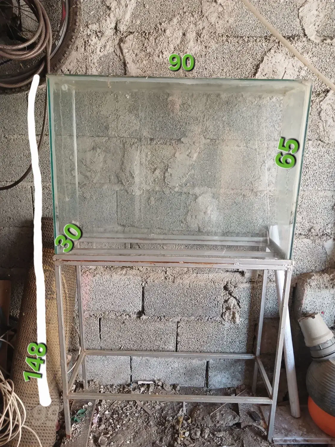 آکواریوم شیشه خم|ماهی|کلاچای, |دیوار